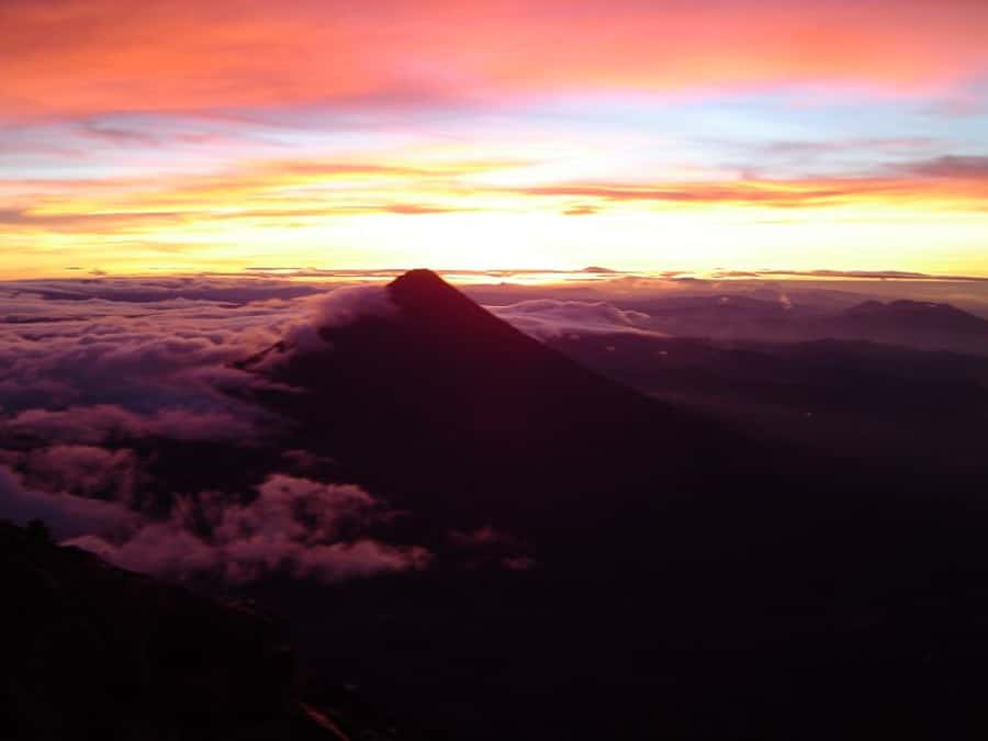 1 Day Acatenango Volcano Hike from Antigua - Conifer forest and the battered tree line