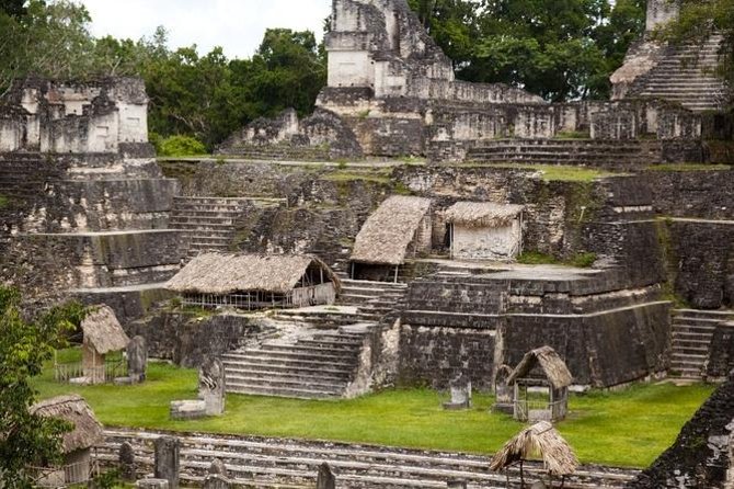 2-Day Mayan Ruins Tour of Tikal and Yaxha from Flores - Day one at Tikal: grand ruins and a huge park