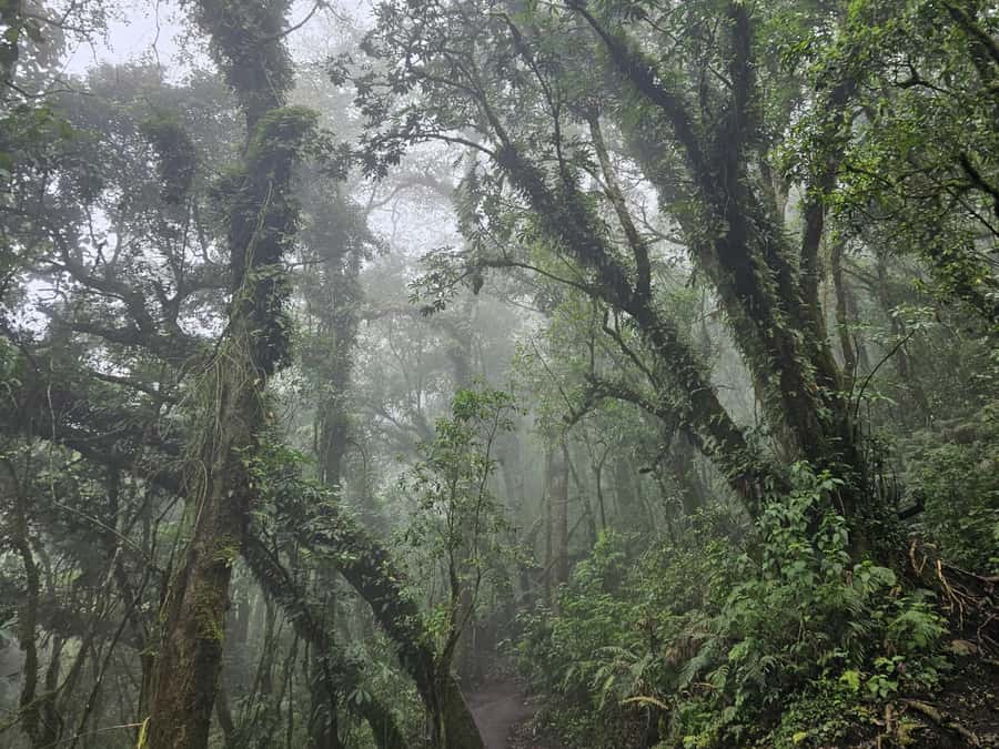 2-day tour from Antigua 1 night in Acatenango Volcano - The Descent to La Soledad and Antigua