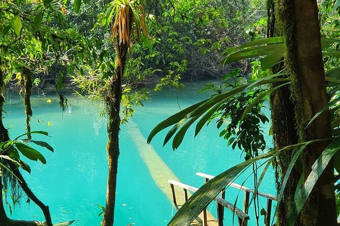 3-Day Tour to Las Verapaces: Visit Semuc Champey + Hun Nal Ye + Coban + Orchids - Day 3: Cobán’s past and Orquigonia’s orchids