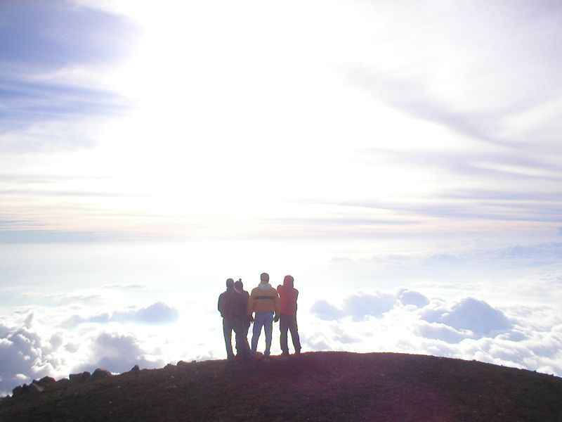 Acatenango Volcano 2-Day Hike - Cloud forest brings birds and cooler air