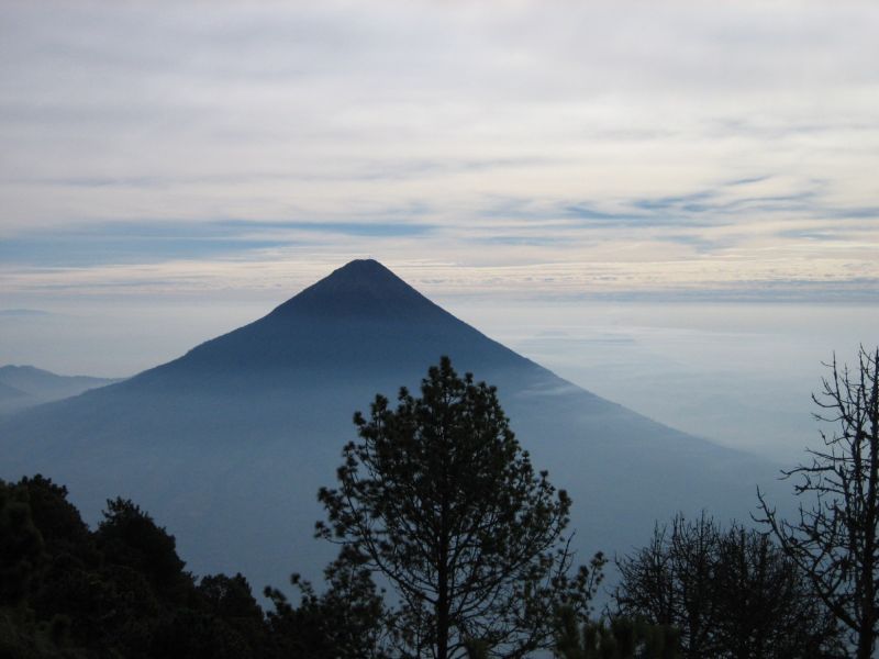 Acatenango Volcano 2-Day Hike - Conifers, dry forest, and the approaching tree line