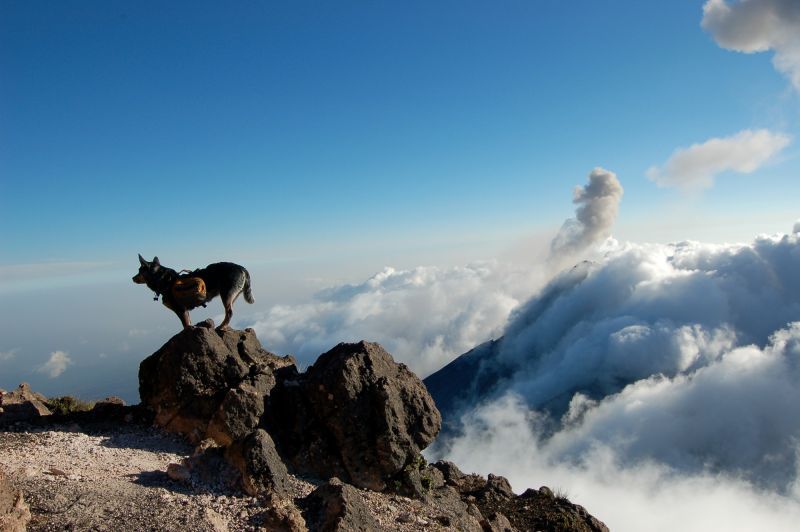 Acatenango Volcano 2-Day Hike - The 45-minute push to Acatenango’s summit