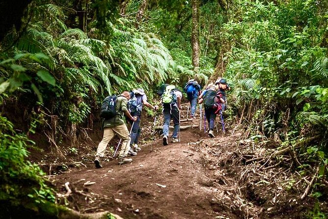 Acatenango Volcano Overnight Hike with Comfort Glamping - Group size, guides, and practical timing