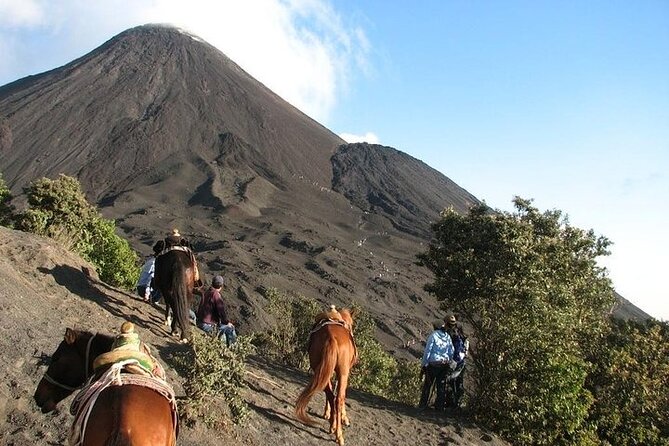 Adventure in Pacaya Volcano from Antigua Guatemala - Walking toward the lava fields at your own pace