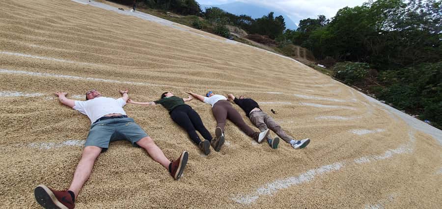 Antigua ATV Coffee tour - Should you book the Antigua ATV Coffee Tour?