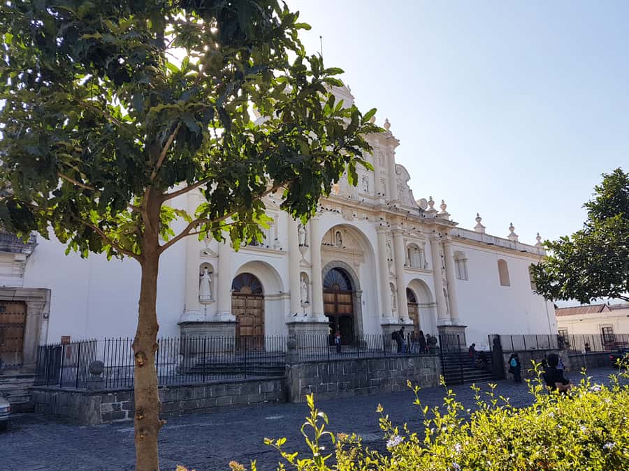 Antigua Guatemala: Morning Tour from Guatemala City - El Carmen church ruins and the craft market
