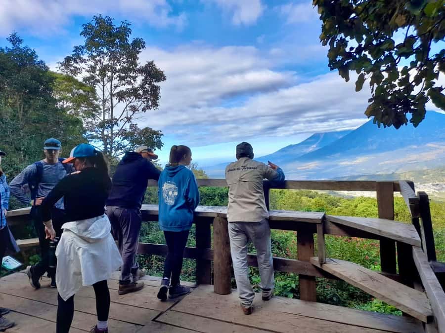 Antigua Guatemala: Private Day Tour to Pacaya Volcano - Volcanic formations, heat, and the best photo stops