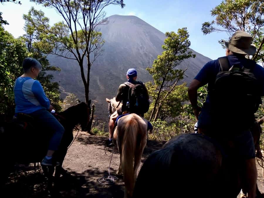 Antigua Guatemala: Private Day Tour to Pacaya Volcano - The final hour: descent and the question of horses
