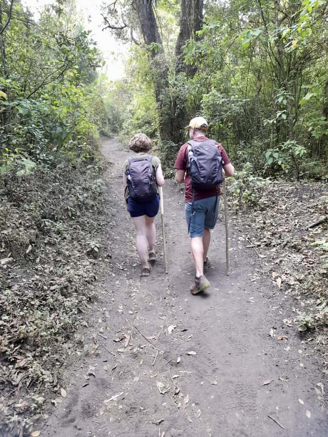 Antigua Guatemala: Private Day Tour to Pacaya Volcano - Timing, flexibility, and cancellation