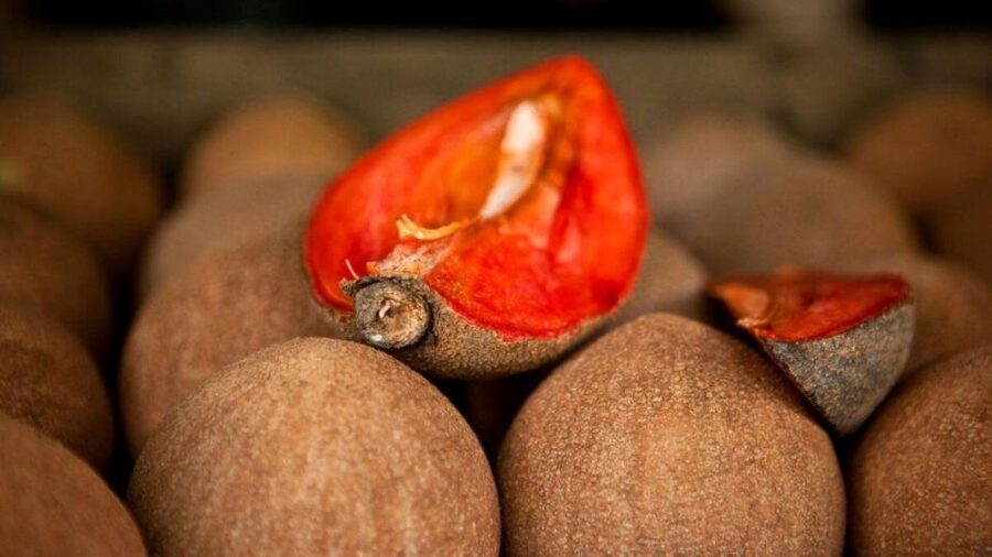 Antigua Guatemala: Street Food Walking Tour with Tastings - Sweets, coffee, and atol
