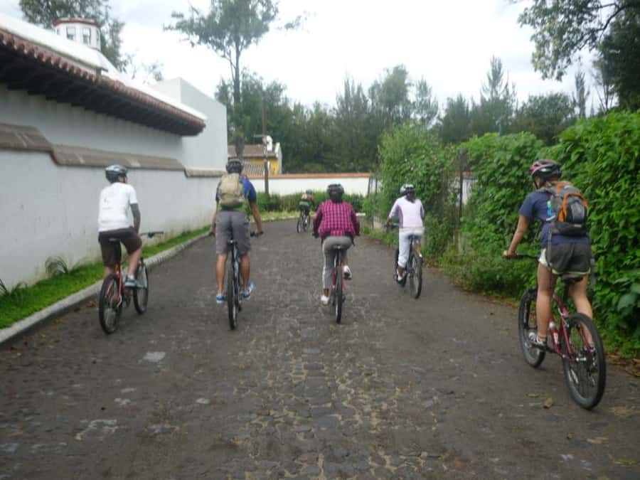 Antigua Half-Day Lost Cities of the Almolonga Bike Tour - Lorenzo’s experimental macadamia farm at Valhalla