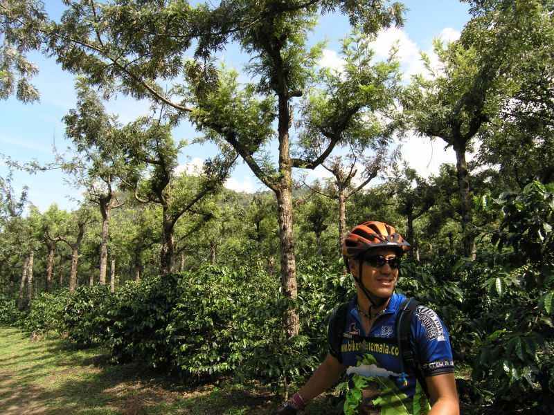 Antigua Sip 'n Cycle Half-Day Bike Ride and Coffee Tour - Practical planning for the four-hour outing