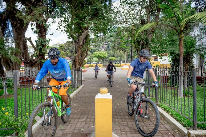 Antigua Valley Ride - Mountain Bike - A working macadamia farm at Valhalla