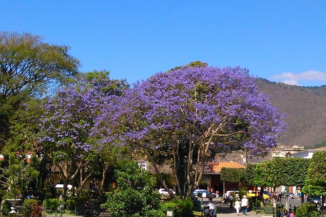 Antigua Walking Tour Morning and Afternoon - The former University of San Carlos