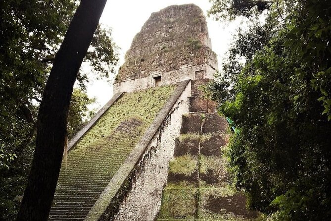 Basic Tour to Tikal Includes Transportation and Guide Service - The Visitor Center sets the stage