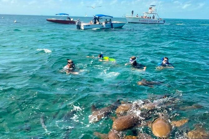 Bus transfer from Flores, Guatemala to Belize City - Comfort, space, and what to pack