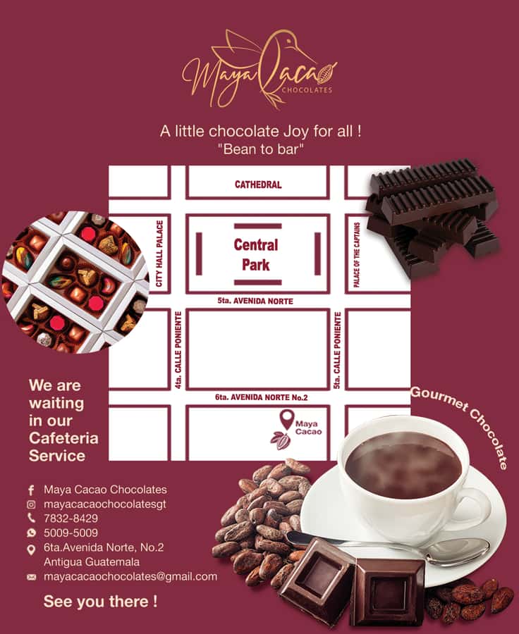 Chocolate workshop; gastronomic experience of cocoa. - A few practical tips before you go