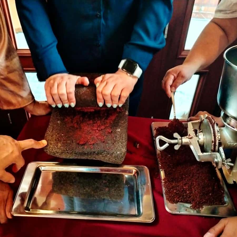 Chocolate workshop; gastronomic experience of cocoa. - Tasting cocoa with all five senses