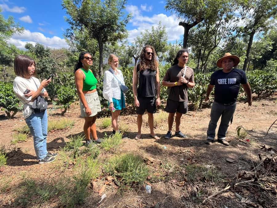Coffee farm experience - Why this coffee farm visit feels personal