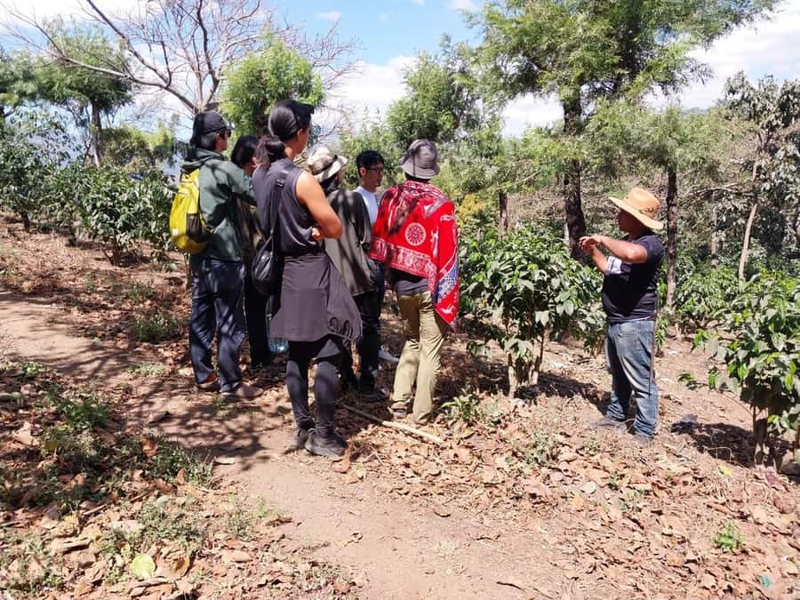 Coffee farm experience - Meeting the people behind the farm