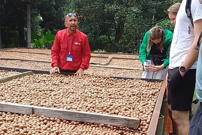 Coffee & Macadamia Fincas Tour - Leaving Antigua for Finca La Azotea