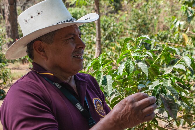 Coffee Tour in Antigua Guatemala - Key points to know before booking