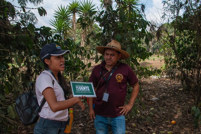 Coffee Tour in Antigua Guatemala - Why this coffee tour works near Antigua