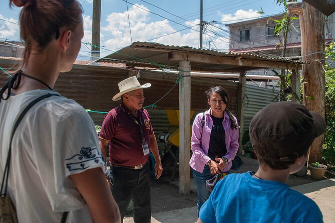 Coffee Tour in Antigua Guatemala - Following coffee from plant to processed bean