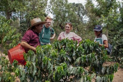 Coffee Tour in Antigua Guatemala