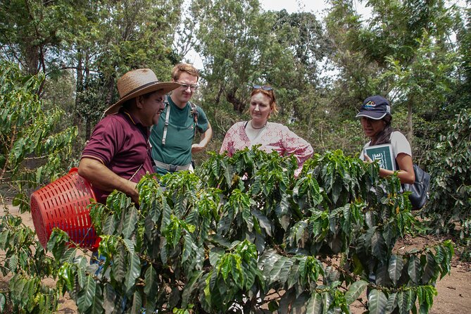 Coffee Tour in Antigua Guatemala - Arriving at the Rivera family finca