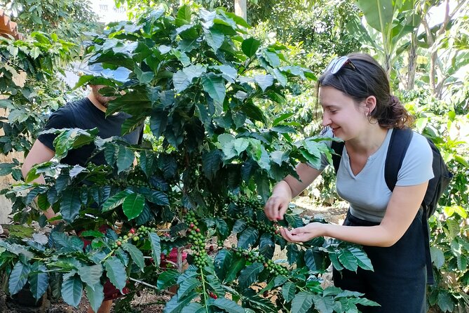 Coffee Tour in Lake Atitlán - Key points to know before booking
