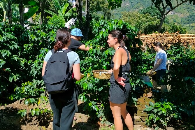 Coffee Tour in Lake Atitlán - The boat ride from Lake Atitlán to San Juan