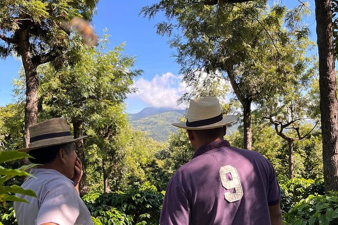 Coffee Tour in Sacatepéquez with Tasting - How the family hosts shape the experience