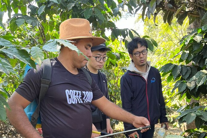 Coffee tour near the Agua Volcano with tasting - Walking through a working coffee farm