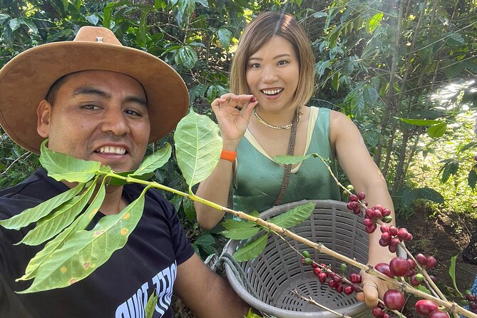 Coffee tour near the Agua Volcano with tasting - Who will enjoy this Antigua coffee tour?