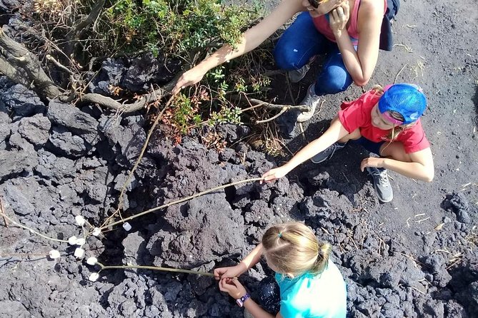 Day Tour to Pacaya Volcano from Antigua Guatemala on Private Vehicle - Who should book this Pacaya outing