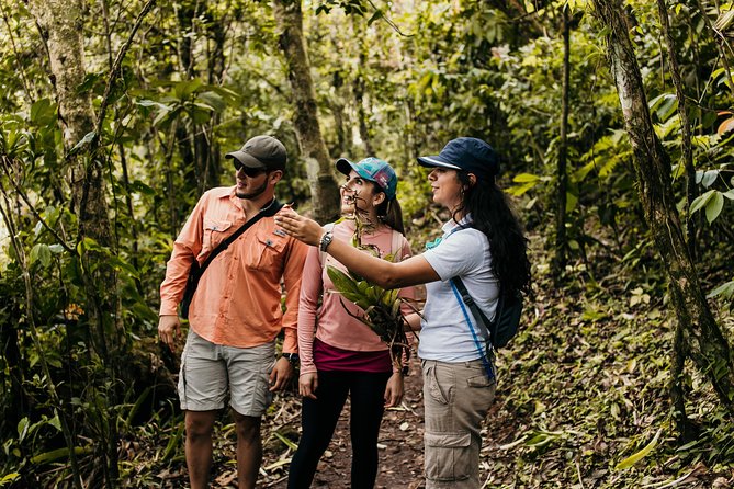 Discover a Lagoon on the Crater of Ipala Volcano - Private Full Day Tour - Who will enjoy this private volcano day
