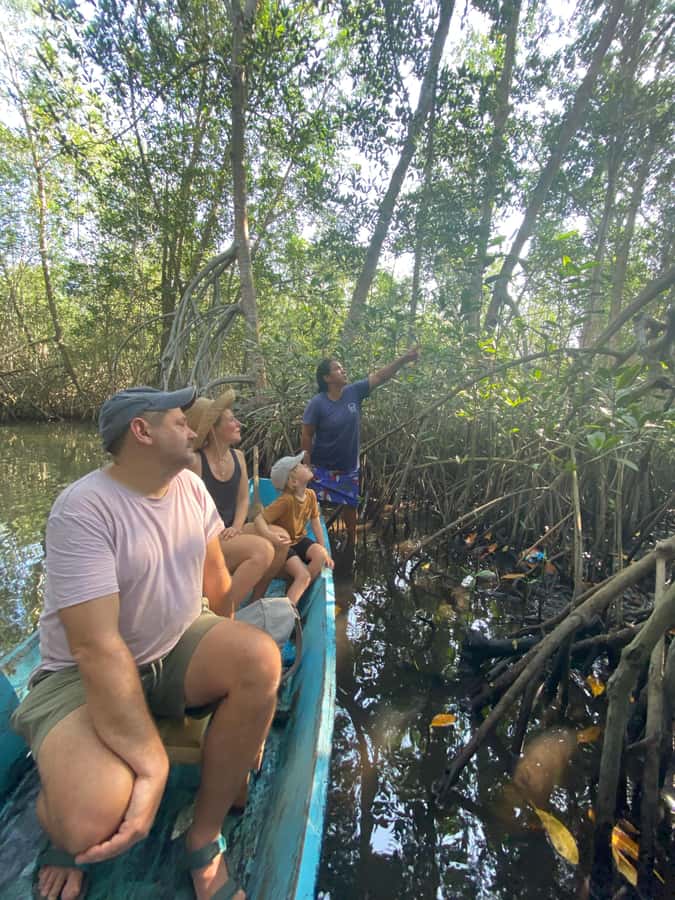 El Paredón: Mangrove Boat Tour with Optional Fishing - Starting in El Paredón at 8:00 AM or 4:00 PM