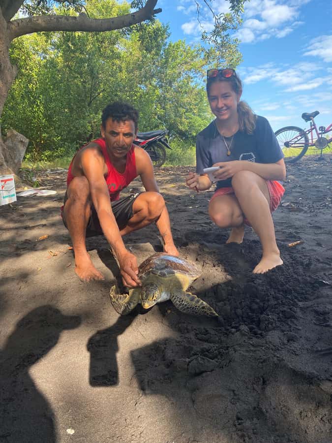 El Paredón: Sea Turtle and Salt Farm Tour - Watching turtles surface at the feeding ground