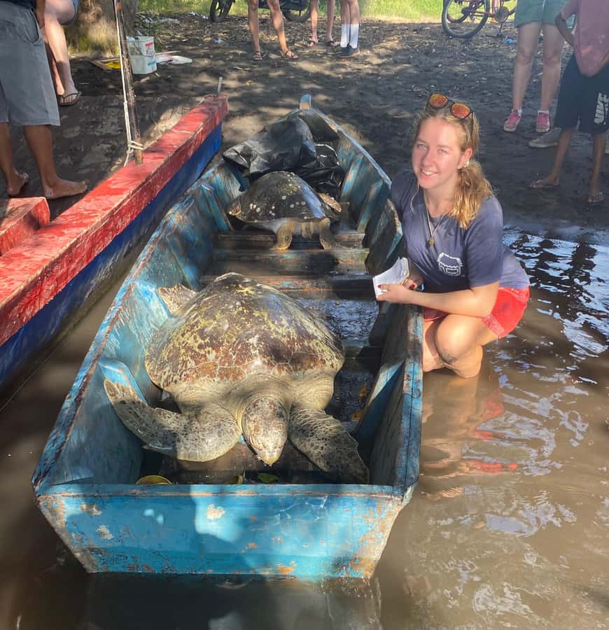 El Paredón: Sea Turtle and Salt Farm Tour - Is $65 a fair price?
