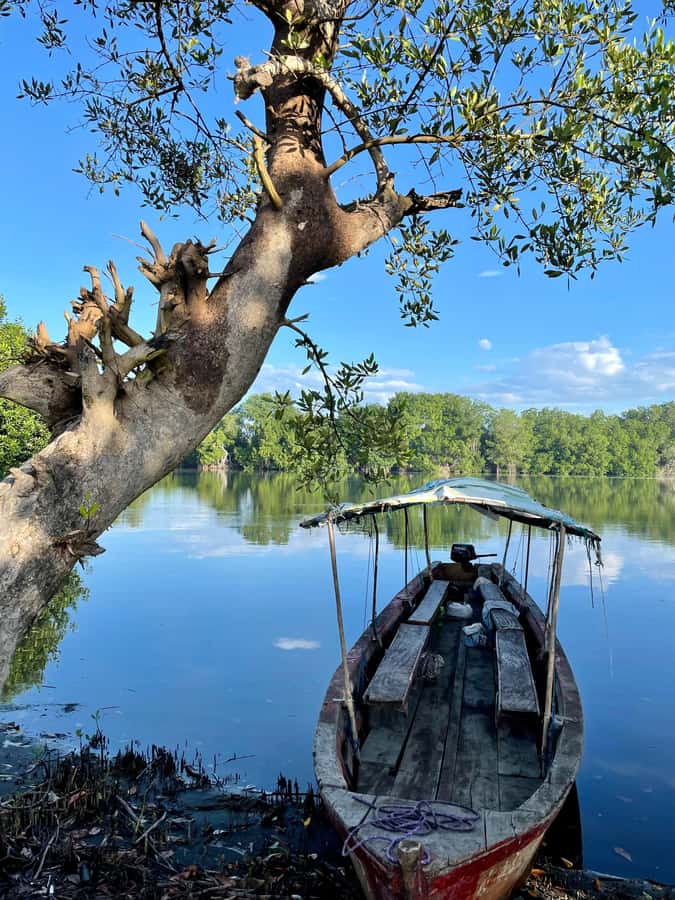 El Paredón: Sea Turtle and Salt Farm Tour - My booking advice