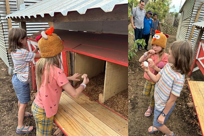 Experience: Organic Coffee, Avocados, Honey & More! - Leaving Antigua for San Pedro Las Huertas