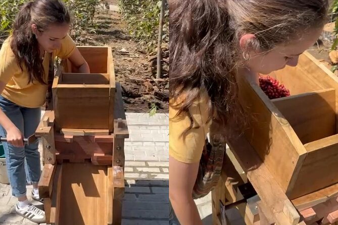 Experience: Organic Coffee, Avocados, Honey & More! - Bees and the farm’s working system