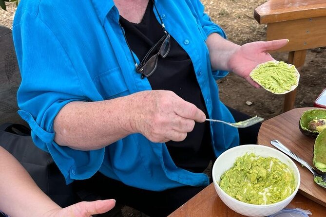 Experience: Organic Coffee, Avocados, Honey & More! - A personal visit, not a staged attraction
