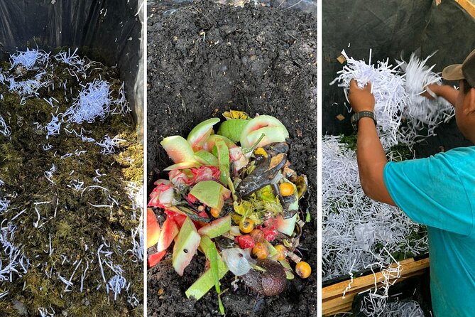 Experience: Organic Coffee, Avocados, Honey & More! - Timing, weather, and what to bring