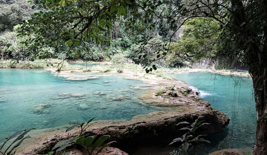 From Antigua: 3-Day Cobán & Semuc Champey Tour - Two hours among the trees at El Biotopo del Quetzal