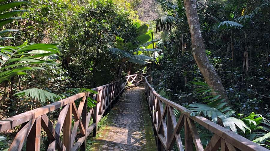From Antigua Guatemala: Birdwatching and Scenic Hiking Tour - Key points to know before you go