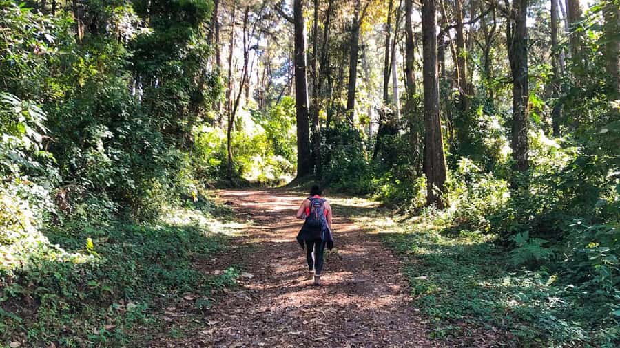 From Antigua Guatemala: Birdwatching and Scenic Hiking Tour - Why Finca El Pilar makes a good half-day escape