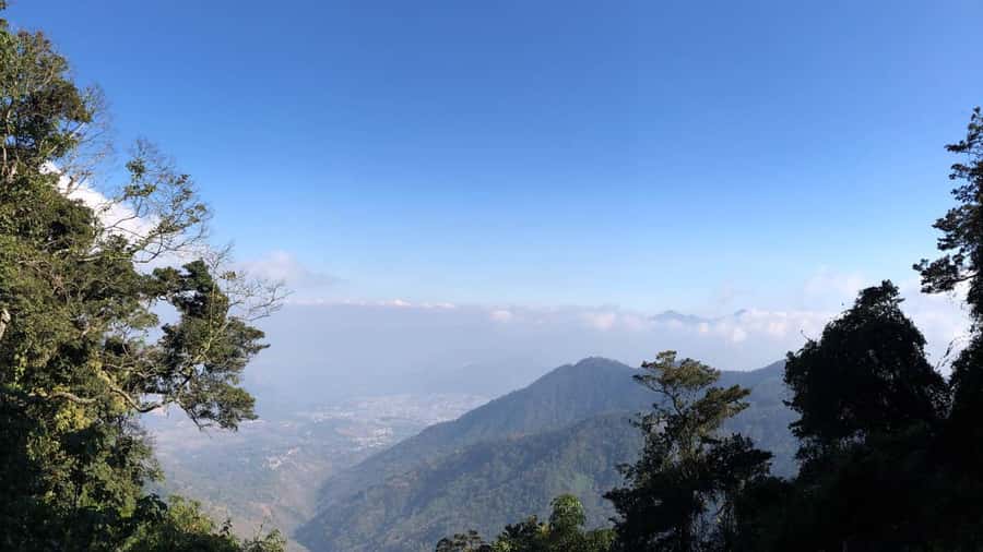 From Antigua Guatemala: Birdwatching and Scenic Hiking Tour - The birds you may search for